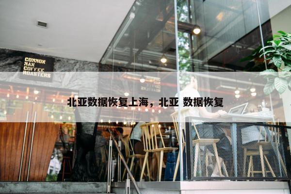 北亚数据恢复上海，北亚 数据恢复