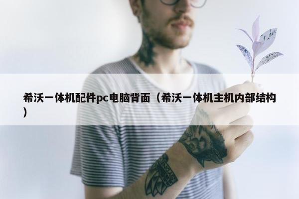 希沃一体机配件pc电脑背面（希沃一体机主机内部结构）
