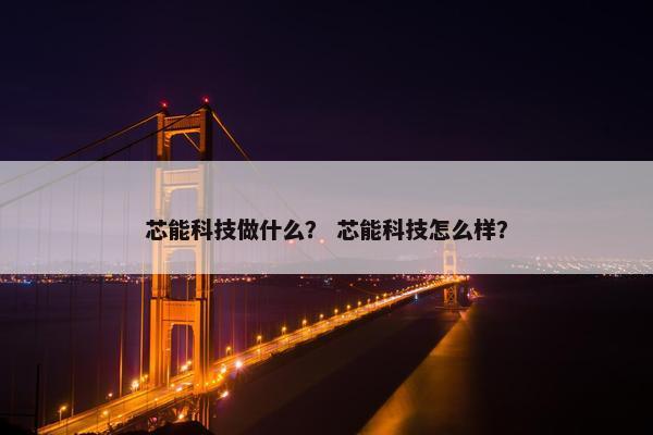 芯能科技做什么？ 芯能科技怎么样？