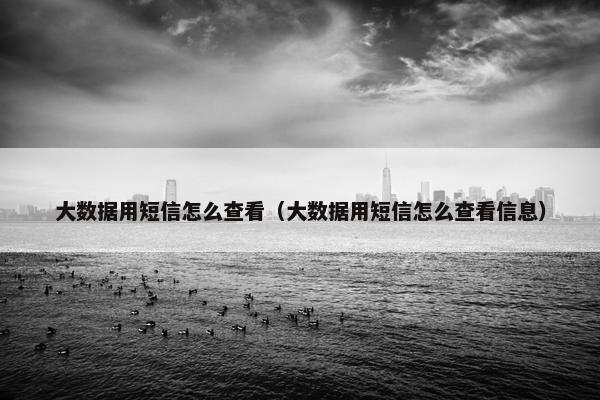 大数据用短信怎么查看（大数据用短信怎么查看信息）