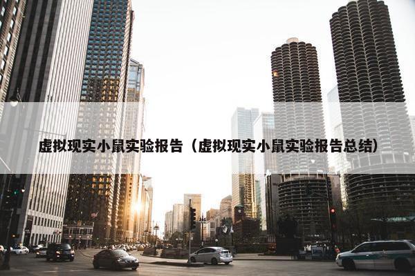 虚拟现实小鼠实验报告（虚拟现实小鼠实验报告总结）