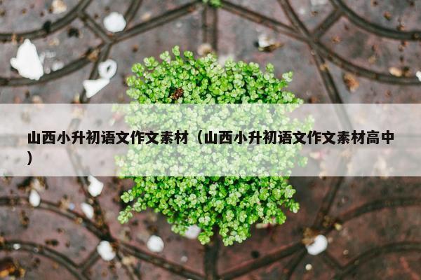 山西小升初语文作文素材（山西小升初语文作文素材高中）