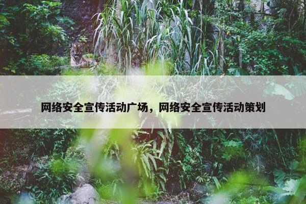 网络安全宣传活动广场，网络安全宣传活动策划