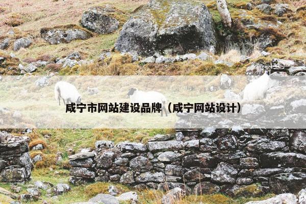 咸宁市网站建设品牌（咸宁网站设计）