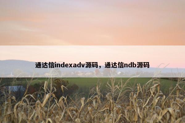 通达信indexadv源码，通达信ndb源码