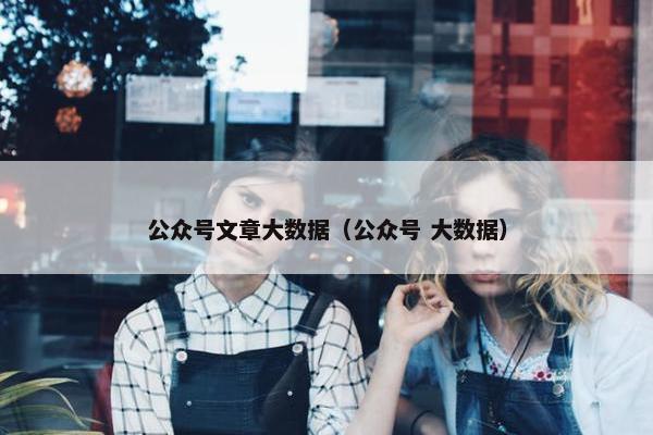 公众号文章大数据（公众号 大数据）