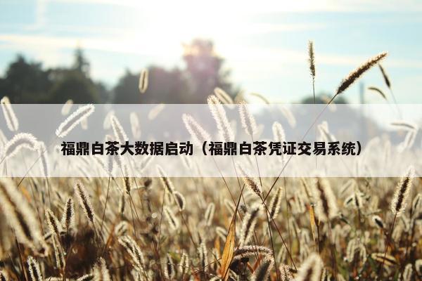 福鼎白茶大数据启动（福鼎白茶凭证交易系统）