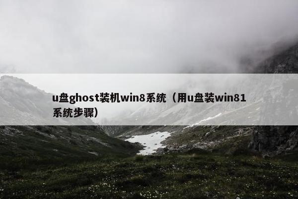 u盘ghost装机win8系统（用u盘装win81系统步骤）