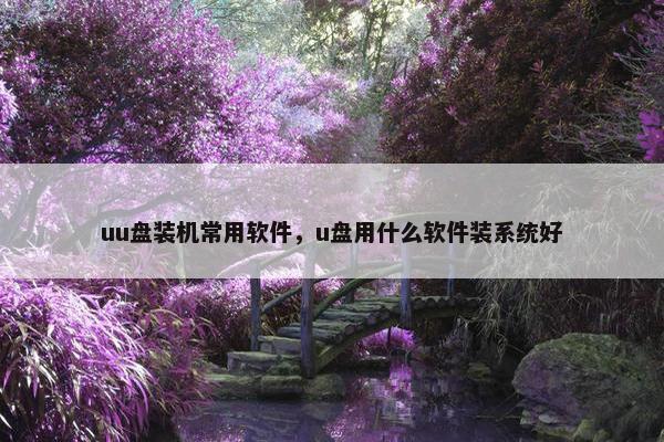 uu盘装机常用软件，u盘用什么软件装系统好