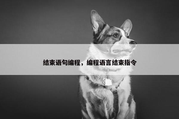 结束语句编程，编程语言结束指令