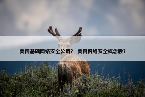 美国基础网络安全公司？ 美国网络安全概念股？