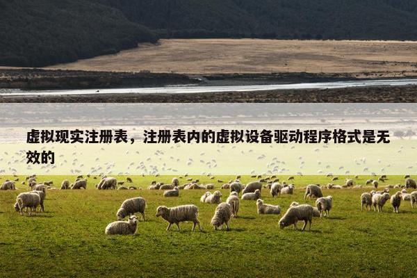 虚拟现实注册表，注册表内的虚拟设备驱动程序格式是无效的