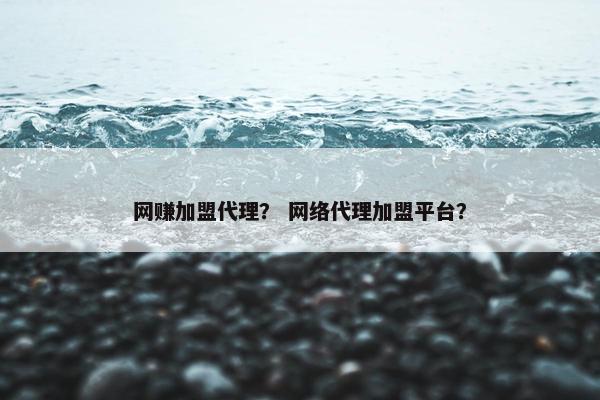 网赚加盟代理？ 网络代理加盟平台？