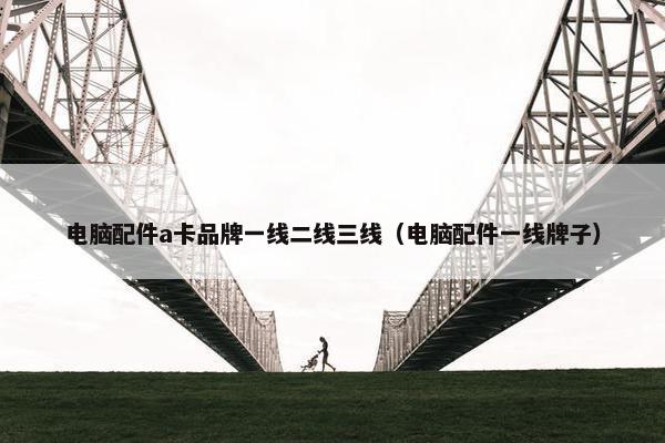 电脑配件a卡品牌一线二线三线（电脑配件一线牌子）