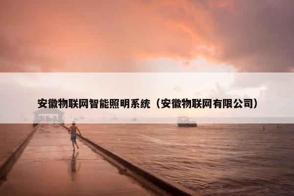 安徽物联网智能照明系统（安徽物联网有限公司）