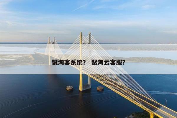 聚淘客系统？ 聚淘云客服？