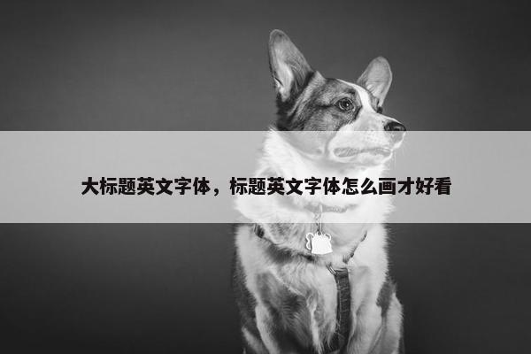 大标题英文字体，标题英文字体怎么画才好看