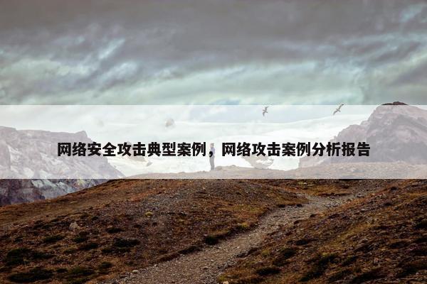 网络安全攻击典型案例，网络攻击案例分析报告