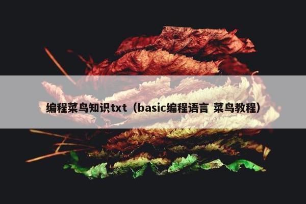 编程菜鸟知识txt（basic编程语言 菜鸟教程）