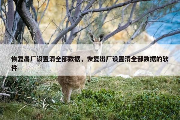 恢复出厂设置清全部数据，恢复出厂设置清全部数据的软件