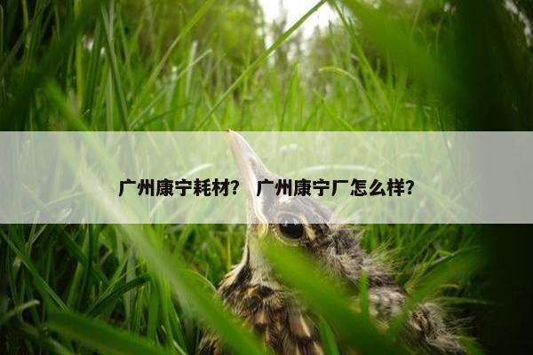 广州康宁耗材？ 广州康宁厂怎么样？