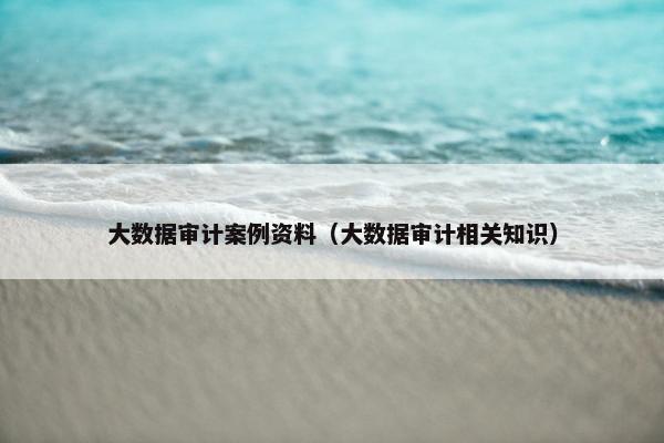 大数据审计案例资料（大数据审计相关知识）