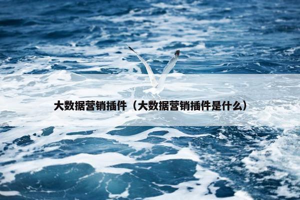 大数据营销插件（大数据营销插件是什么）