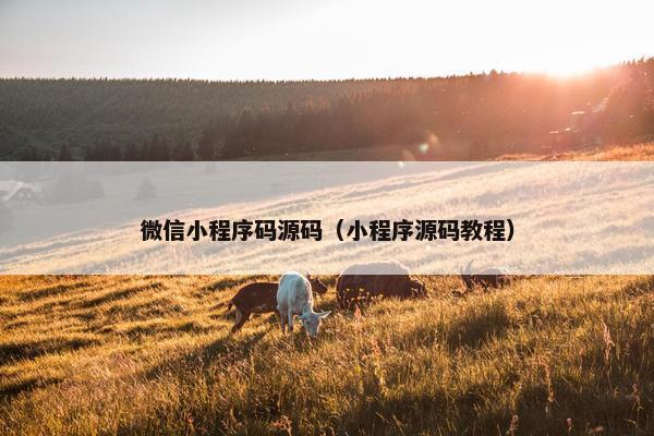 微信小程序码源码（小程序源码教程）