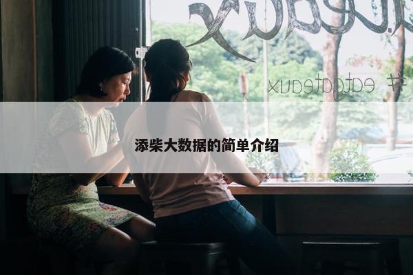添柴大数据的简单介绍