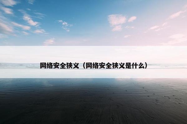 网络安全狭义（网络安全狭义是什么）