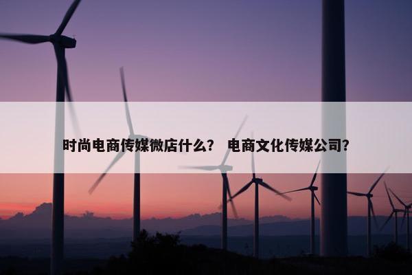 时尚电商传媒微店什么？ 电商文化传媒公司？