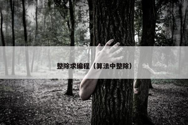 整除求编程（算法中整除）