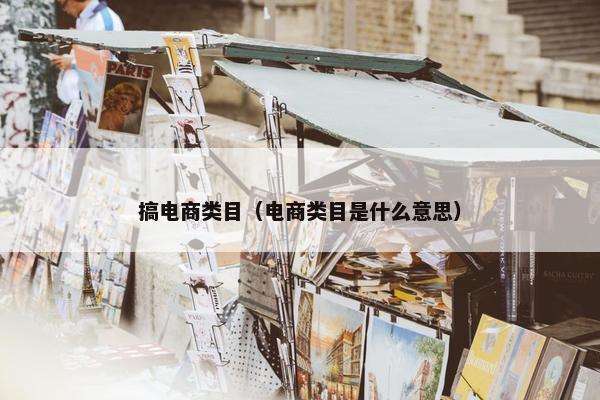 搞电商类目（电商类目是什么意思）