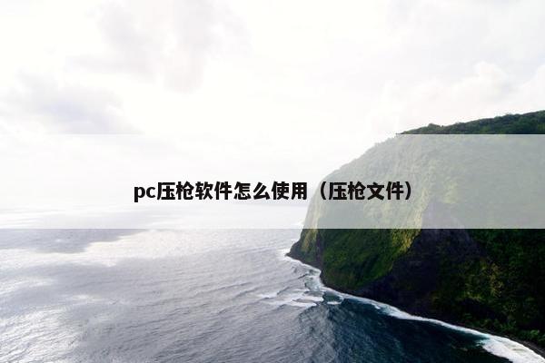 pc压枪软件怎么使用（压枪文件）