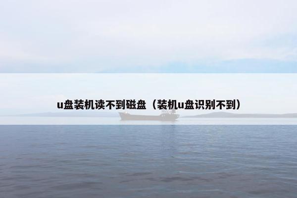 u盘装机读不到磁盘（装机u盘识别不到）