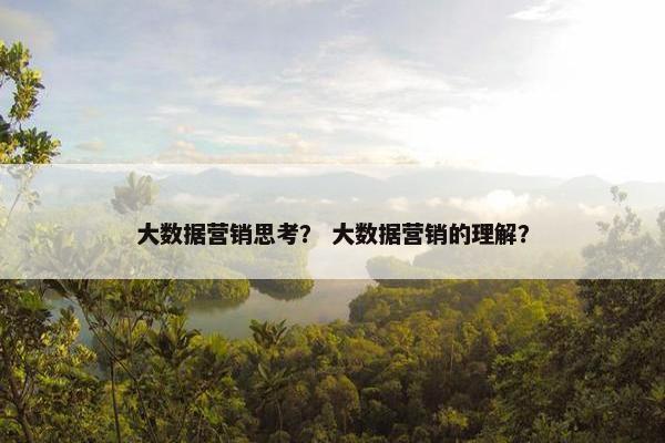 大数据营销思考？ 大数据营销的理解？