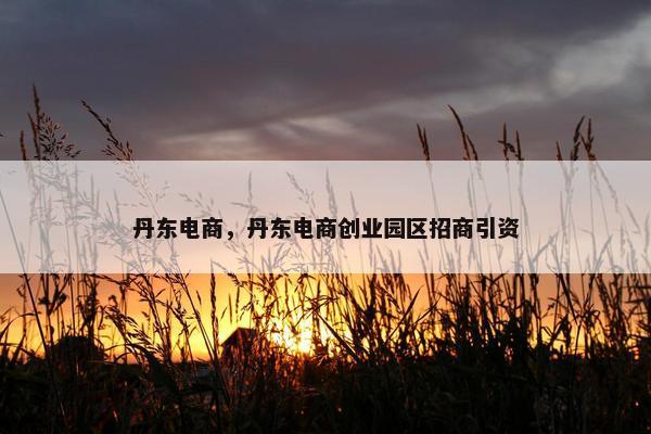 丹东电商，丹东电商创业园区招商引资