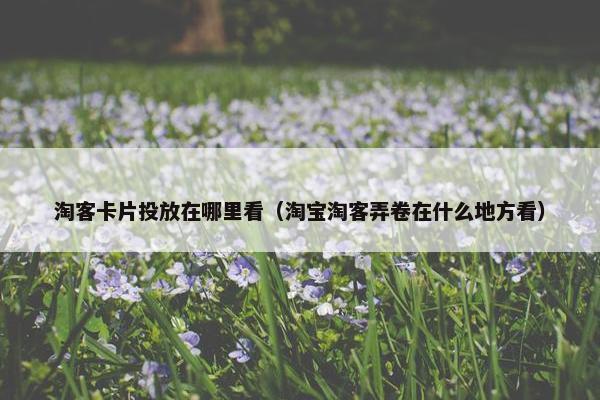 淘客卡片投放在哪里看（淘宝淘客弄卷在什么地方看）