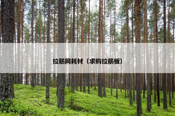 拉筋网耗材（求购拉筋板）