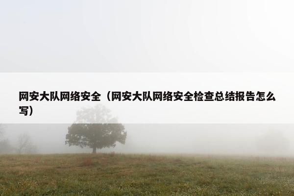 网安大队网络安全（网安大队网络安全检查总结报告怎么写）