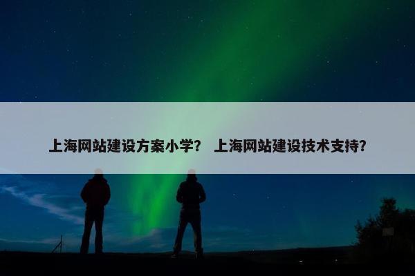 上海网站建设方案小学？ 上海网站建设技术支持？