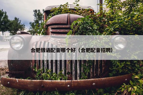 合肥俄语配音哪个好（合肥配音招聘）