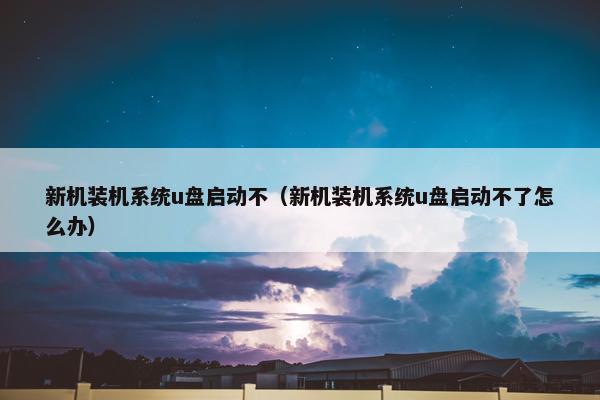 新机装机系统u盘启动不（新机装机系统u盘启动不了怎么办）