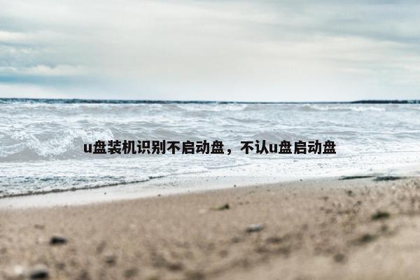u盘装机识别不启动盘，不认u盘启动盘