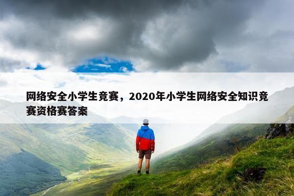 网络安全小学生竞赛，2020年小学生网络安全知识竞赛资格赛答案
