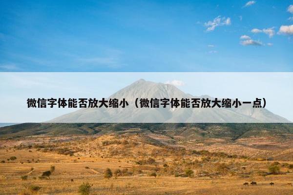 微信字体能否放大缩小（微信字体能否放大缩小一点）