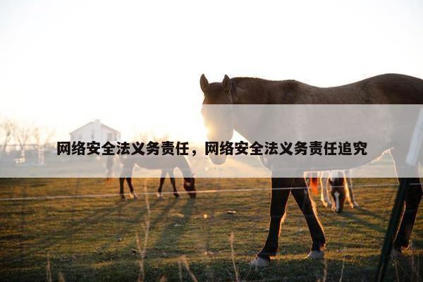 网络安全法义务责任，网络安全法义务责任追究