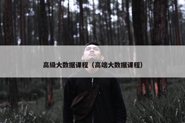 高级大数据课程（高端大数据课程）