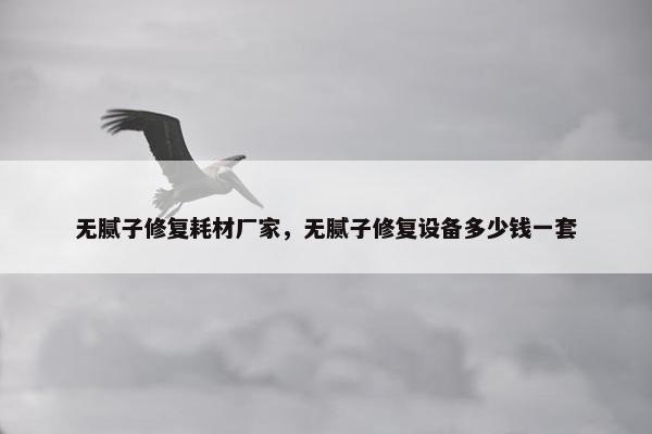 无腻子修复耗材厂家，无腻子修复设备多少钱一套