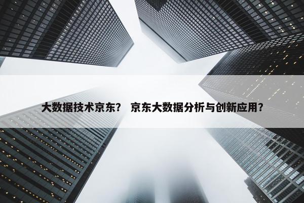 大数据技术京东？ 京东大数据分析与创新应用？